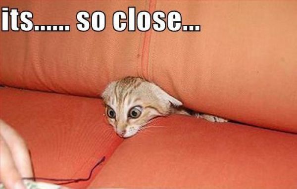 Bildschirmarbeiter - Picdump 30.04.2010