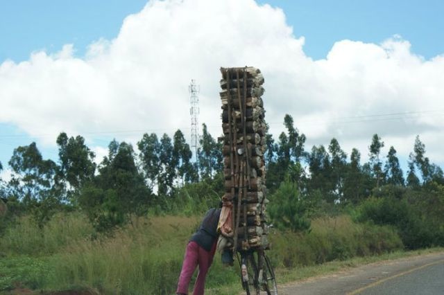 Bildschirmarbeiter - Picdump 30.04.2010