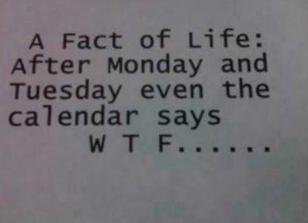 Bildschirmarbeiter - Picdump 30.04.2010