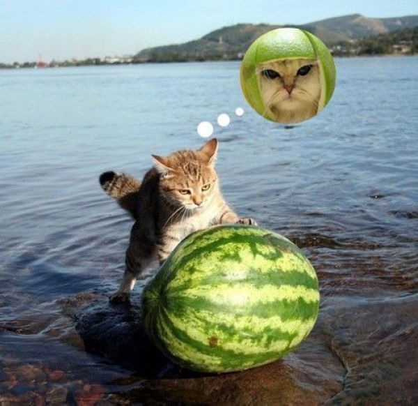 Bildschirmarbeiter - Picdump 30.04.2010