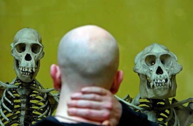 Bildschirmarbeiter - Picdump 30.04.2010