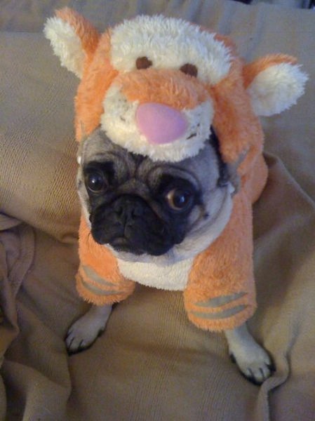 Bildschirmarbeiter - Picdump 30.04.2010