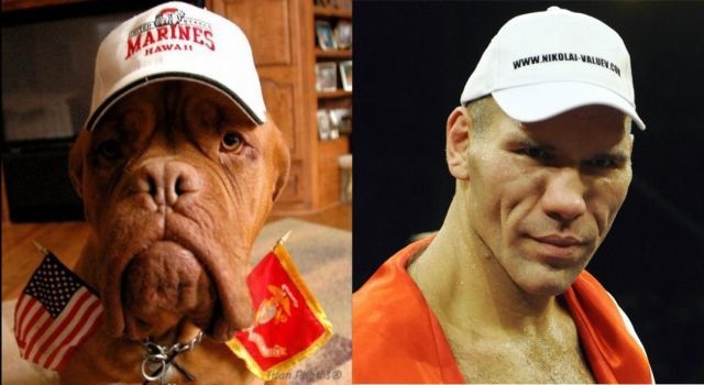 Bildschirmarbeiter - Picdump 07.05.2010