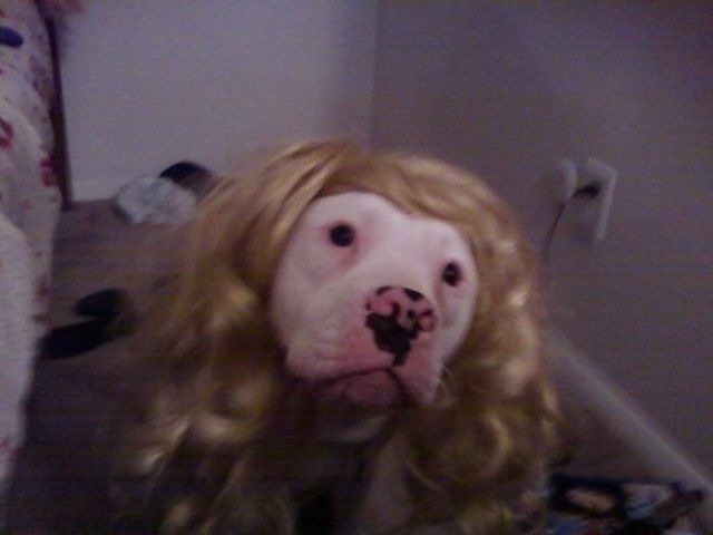 Bildschirmarbeiter - Picdump 07.05.2010