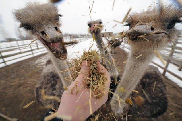 Bildschirmarbeiter - Picdump 07.05.2010