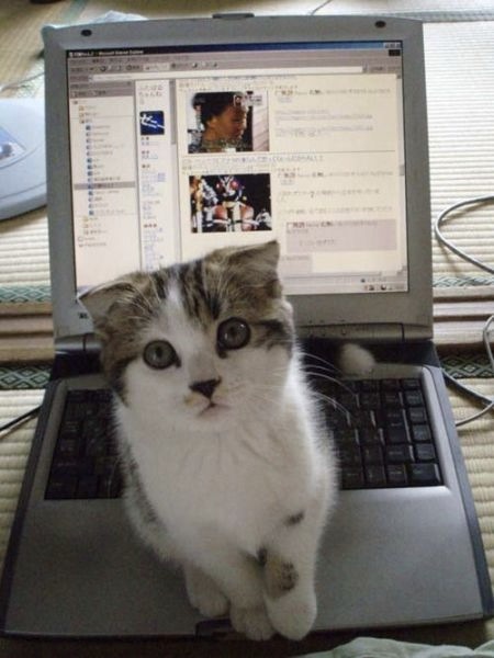 Bildschirmarbeiter - Picdump 07.05.2010