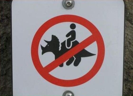 Bildschirmarbeiter - Picdump 07.05.2010