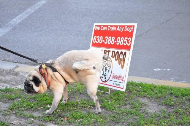 Bildschirmarbeiter - Picdump 07.05.2010