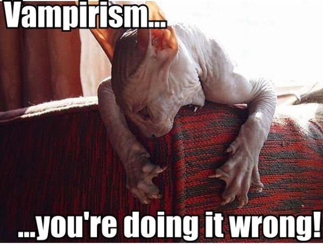 Bildschirmarbeiter - Picdump 07.05.2010