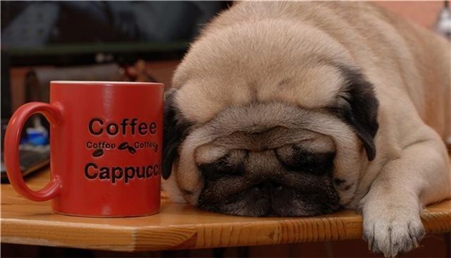 Bildschirmarbeiter - Picdump 14.05.2010