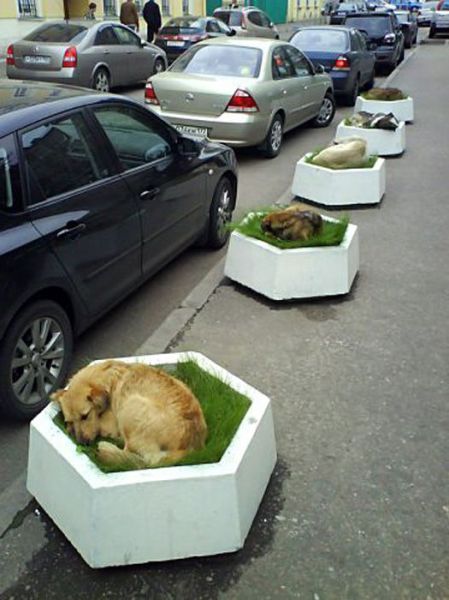 Bildschirmarbeiter - Picdump 14.05.2010