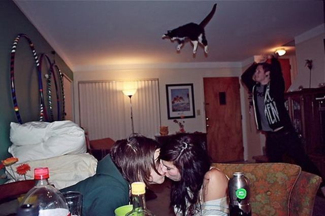 Bildschirmarbeiter - Picdump 14.05.2010