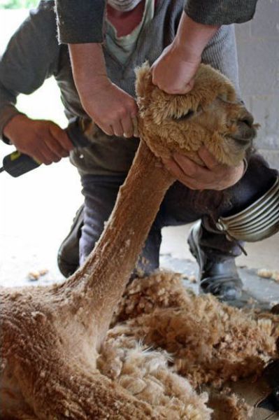 Bildschirmarbeiter - Picdump 14.05.2010