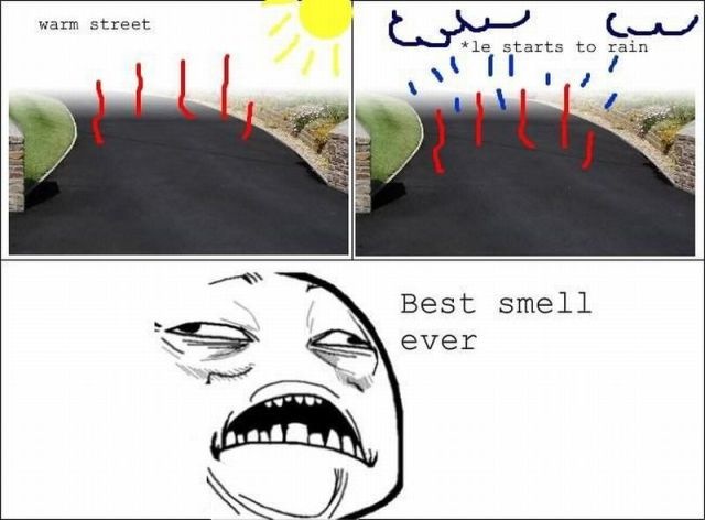 Bildschirmarbeiter - Picdump 20.05.2011