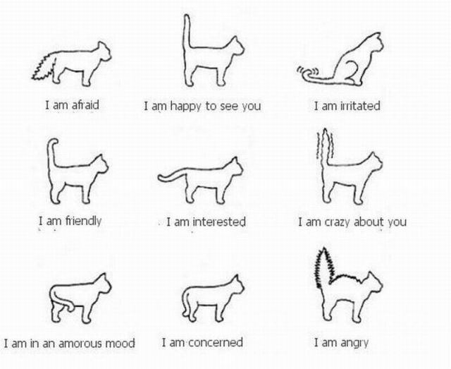 Bildschirmarbeiter - Picdump 20.05.2011