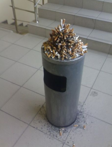 Bildschirmarbeiter - Picdump 20.05.2011