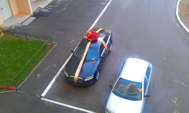 Bildschirmarbeiter - Picdump 20.05.2011