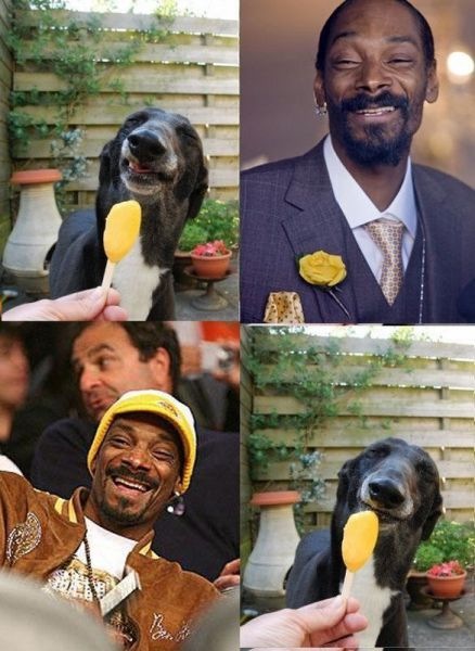 Bildschirmarbeiter - Picdump 20.05.2011