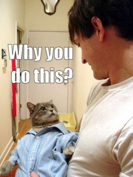 Bildschirmarbeiter - Picdump 20.05.2011