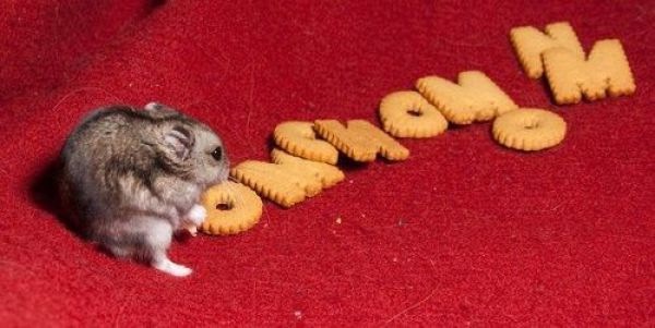 Bildschirmarbeiter - Picdump 21.05.2010