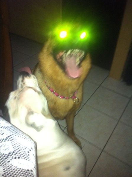 Bildschirmarbeiter - Picdump 27.05.2011