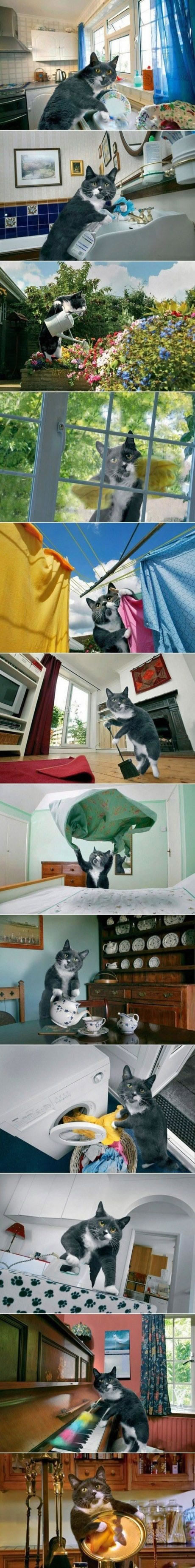 Bildschirmarbeiter - Picdump 27.05.2011