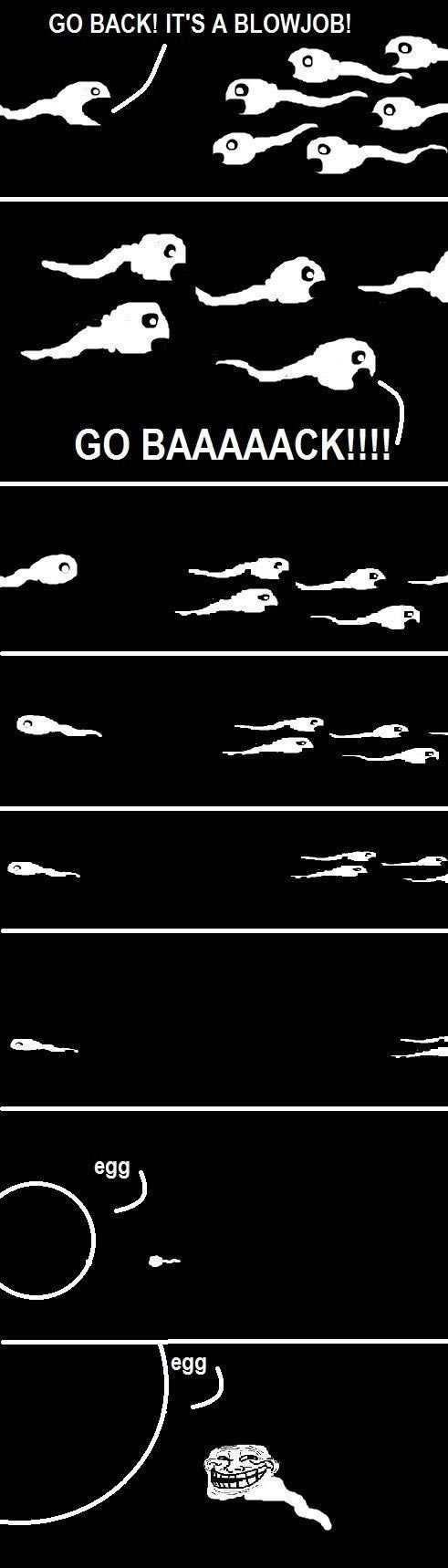 Bildschirmarbeiter - Picdump 27.05.2011