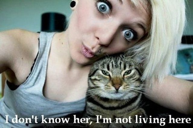 Bildschirmarbeiter - Picdump 27.05.2011