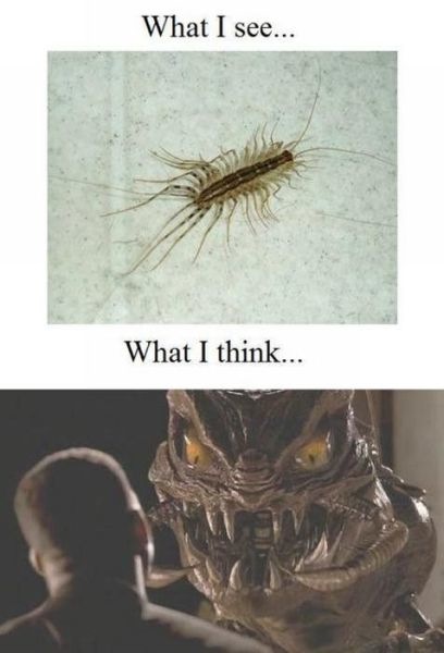 Bildschirmarbeiter - Picdump 27.05.2011