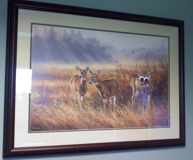 Bildschirmarbeiter - Picdump 27.05.2011