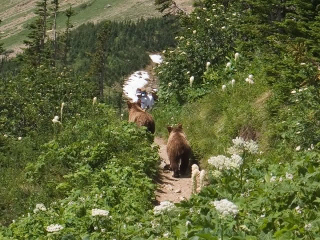 Bildschirmarbeiter - Picdump 27.05.2011