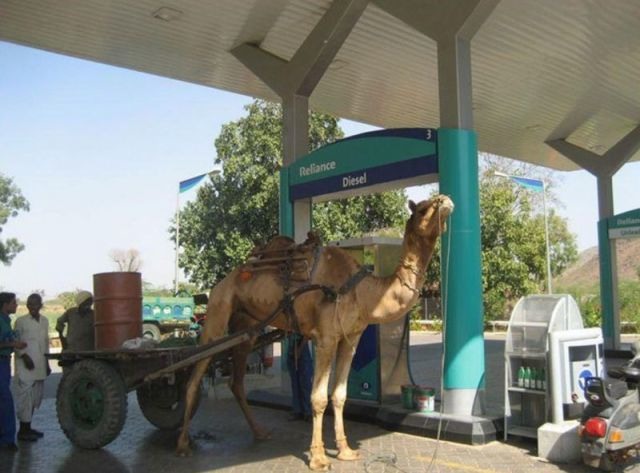 Bildschirmarbeiter - Picdump 28.05.2010