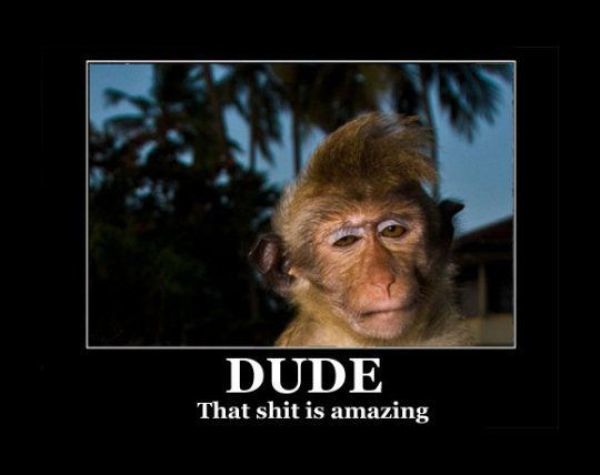 Bildschirmarbeiter - Picdump 28.05.2010