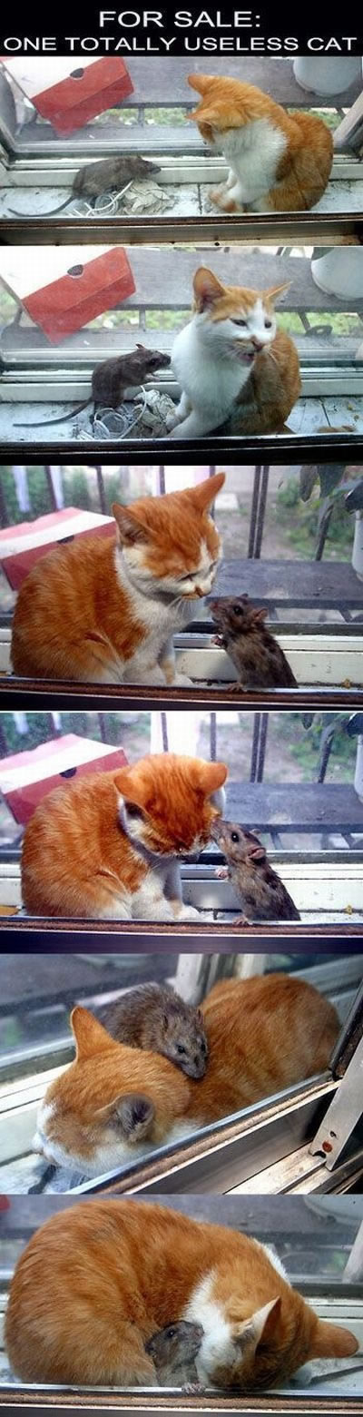 Bildschirmarbeiter - Picdump 28.05.2010