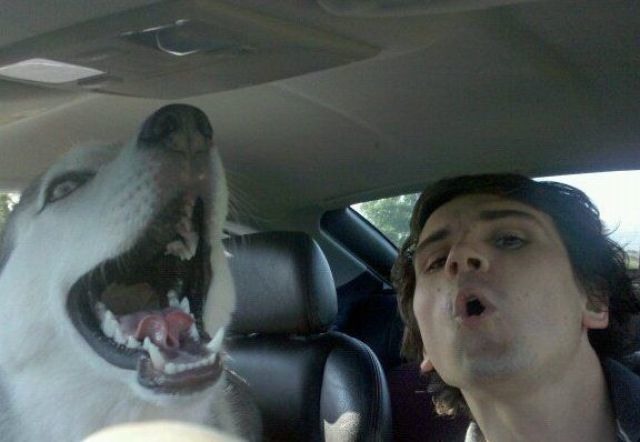 Bildschirmarbeiter - Picdump 28.05.2010