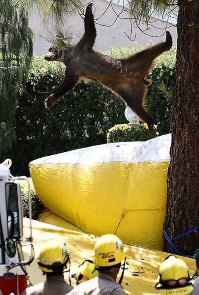 Bildschirmarbeiter - Picdump 28.05.2010