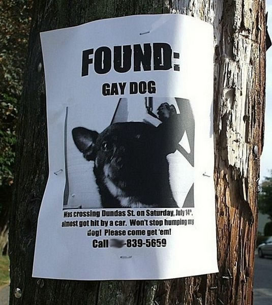 Bildschirmarbeiter - Picdump 28.05.2010