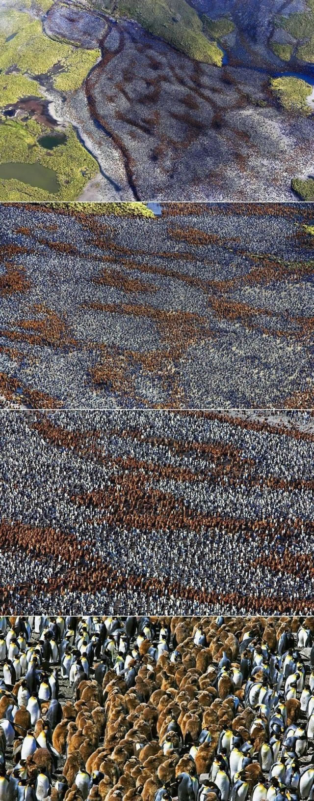 Bildschirmarbeiter - Picdump 28.05.2010