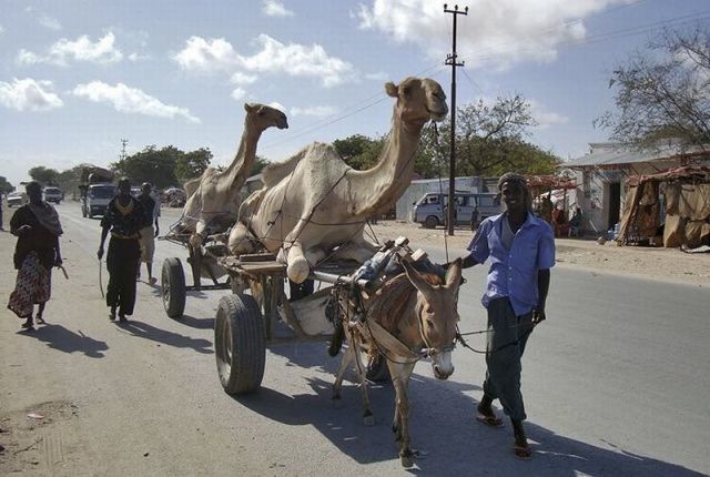 Bildschirmarbeiter - Picdump 03.06.2011