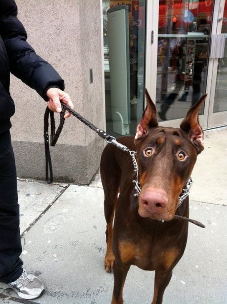 Bildschirmarbeiter - Picdump 03.06.2011