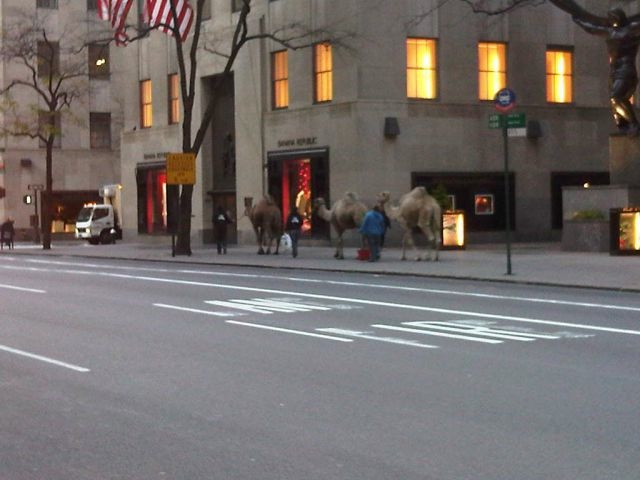 Bildschirmarbeiter - Picdump 10.06.2011