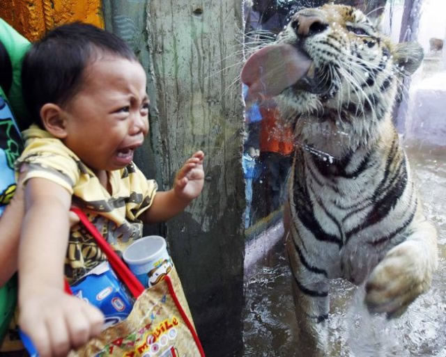 Bildschirmarbeiter - Picdump 11.06.2010