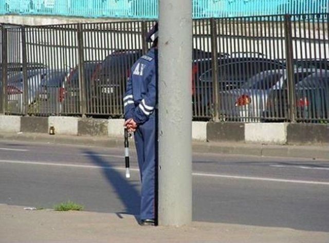 Bildschirmarbeiter - Picdump 11.06.2010