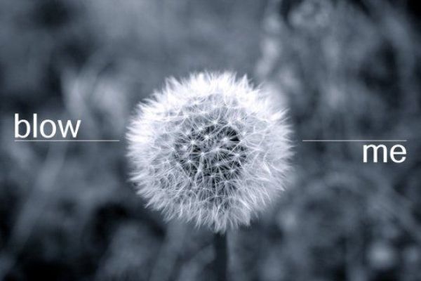 Bildschirmarbeiter - Picdump 11.06.2010