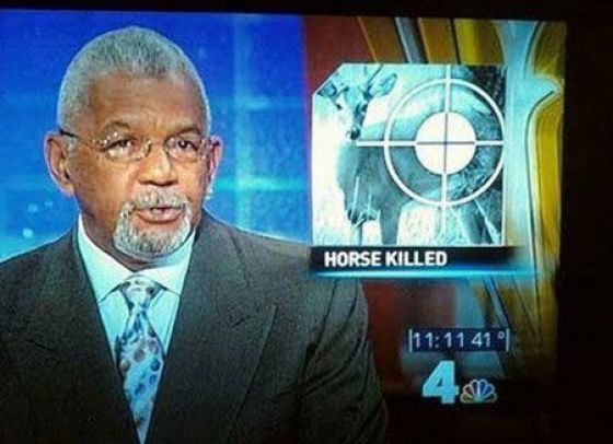 Bildschirmarbeiter - Picdump 11.06.2010