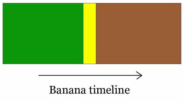 Bildschirmarbeiter - Picdump 11.06.2010