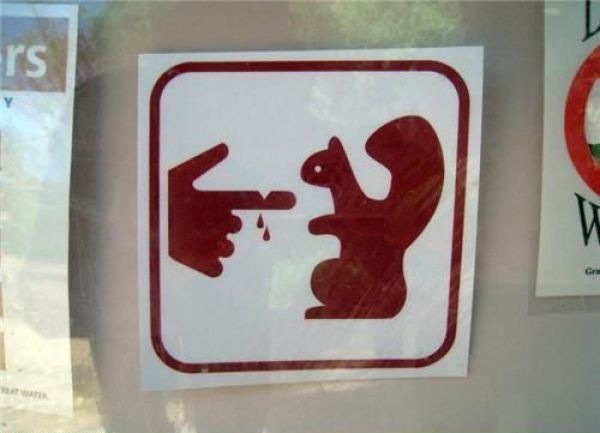 Bildschirmarbeiter - Picdump 11.06.2010