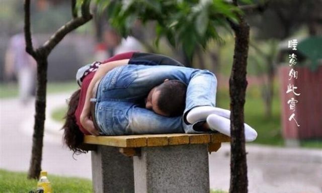 Bildschirmarbeiter - Picdump 11.06.2010