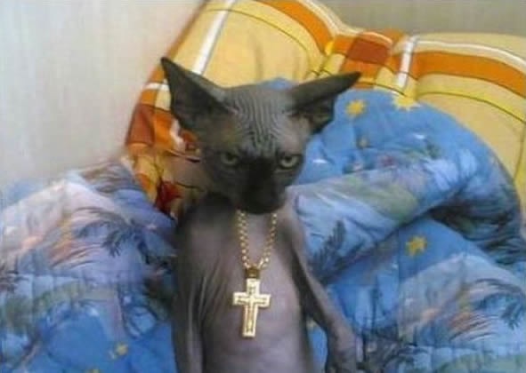 Bildschirmarbeiter - Picdump 11.06.2010