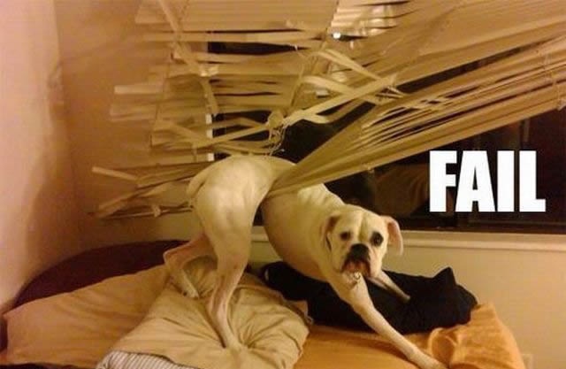 Bildschirmarbeiter - Picdump 17.06.2011